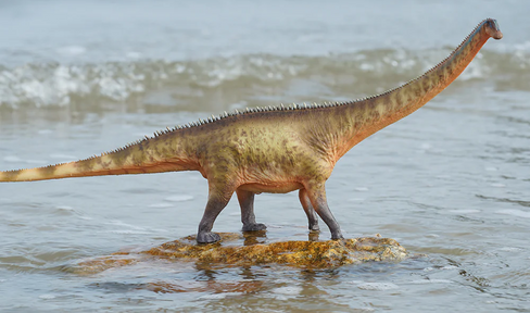 Haolonggood Diplodocus - Heterochromatic Version #168C  image scenic view