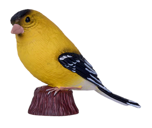 Mojo American Goldfinch New 2025 #381111 main hero image