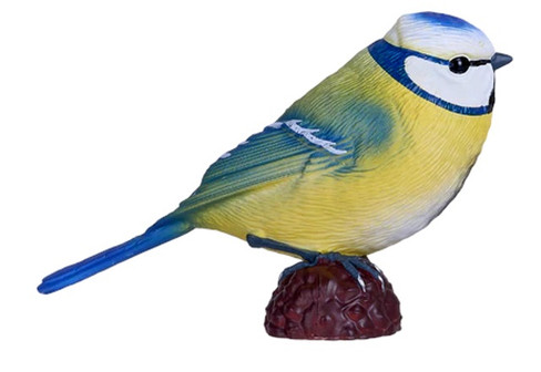 Mojo Blue Tit New 2025 #381115 main hero image