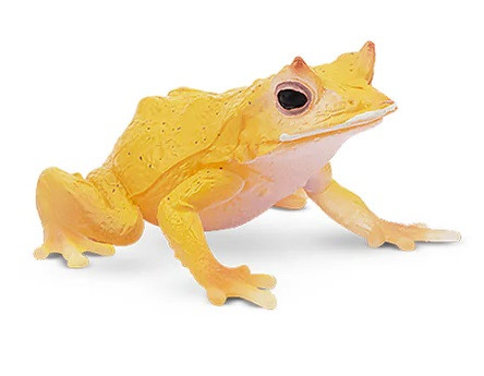 Toymany - Solomn Island Leaf Frog #00307 - Front Angle View