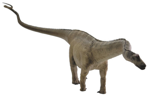 REBOR - Male Diplodocus Carnegii Stargazer #161021  front right Image