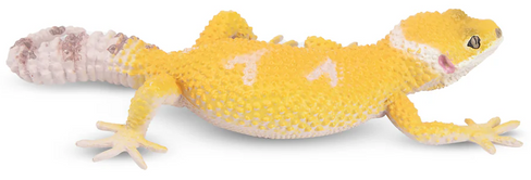 Toymany Leopard Gecko #308 - left side View