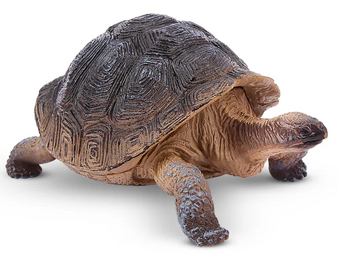 Toymany Galapagos Tortoise #309 - Manufacturer Hero Image