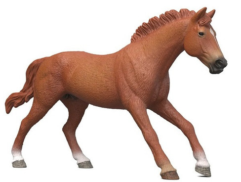 Schleich Thoroughbred - English Stallion #14915 - Main Picture