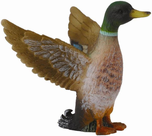 Duck - Mallard (CollectA)