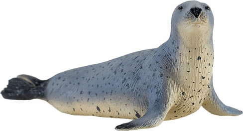 Mojo Grey Seal #381134 - Main Picture
