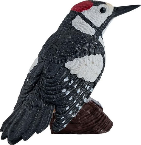 Mojo Spotted Woodpecker #381142 - Right View