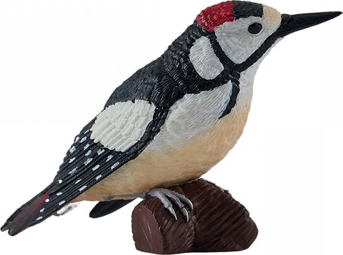 Mojo Spotted Woodpecker #381142 - Main Picture