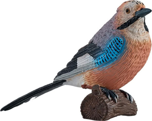 Mojo European Jay #381146 - Right View