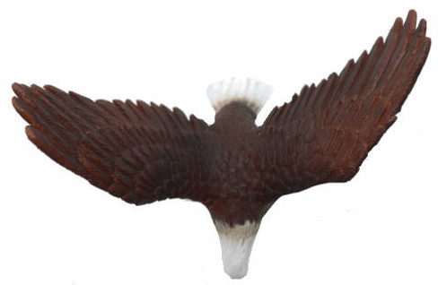 CollectA American Bald Eagle - Top View CollectA American Bald Eagle - Top View