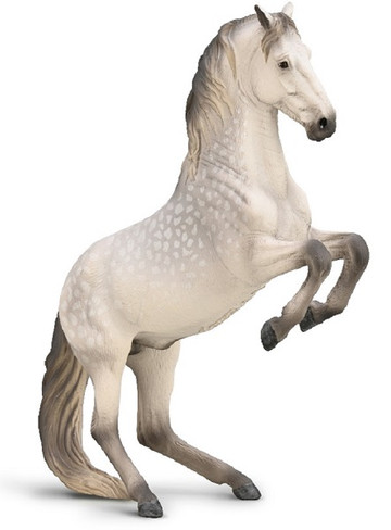 CollectA Lipizzaner Stallion Dapple grey #80051 - Main Picture
