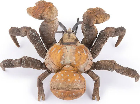 Papo Coconut Crab #56020 - Top View Up