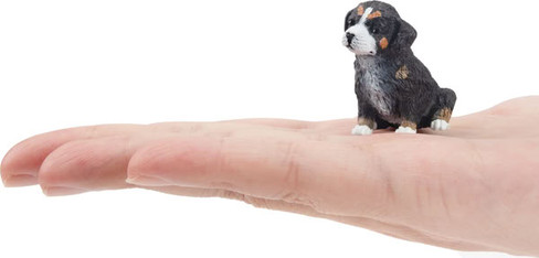 Bernese Mountain Puppy - Sitting #149 - By Hand