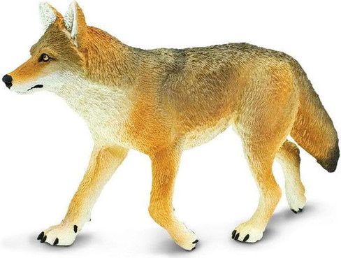 Safari Ltd. Coyote #113089 - Main Picture