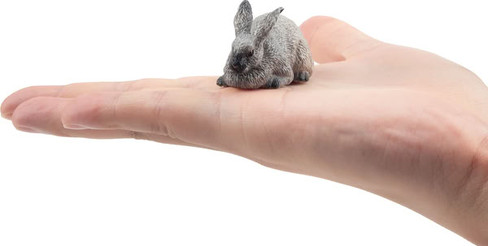 Toymany Champagne D'Argent Rabbit #00372 - On Hand