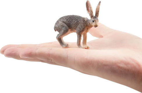 Toymany Antelope Jackrabbit #00373 - On Hand