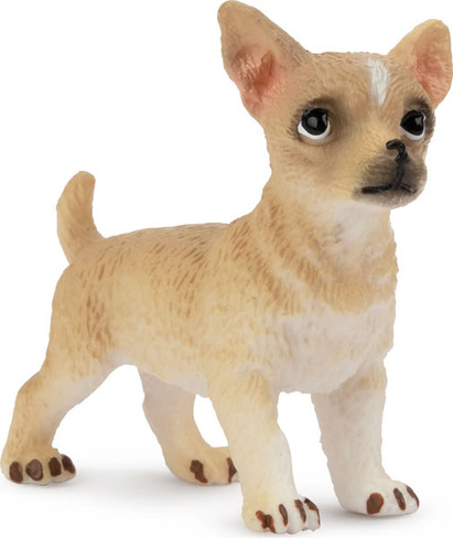 Toymany Fawn Chihuahua Puppy - Standing #00155 - Main Picture