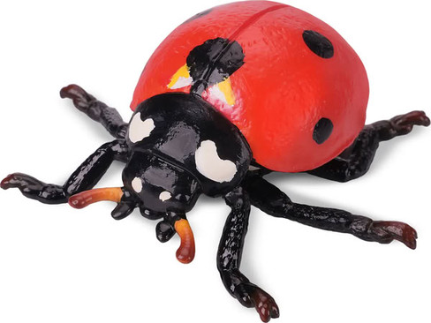 Toymany Seven-Spotted Ladybug #00503 - Main Picture