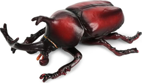 Toymany Japanese Rhinoceros Beetle #00497 - Main Picture