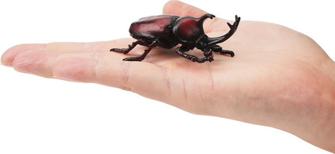 Toymany Japanese Rhinoceros Beetle #00497 - On Hand