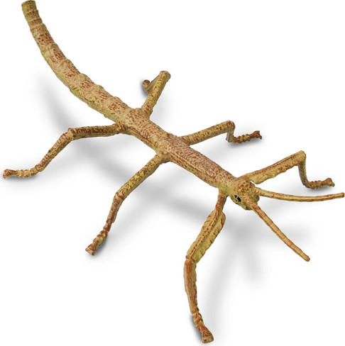 Toymany Stick Insect #00505 - Main Picture