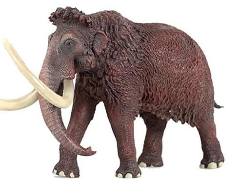 Haolonggood Mammuthus Primigenius - Reddish Brown #007-A - Left Front View