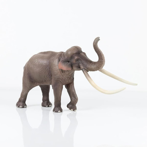 -Haolonggood Palaeoloxodon - B #002-B - Right Front View