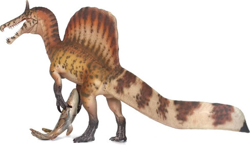 Spinosaurus mirabilis - Ruan Xiao Er (Haolonggood)