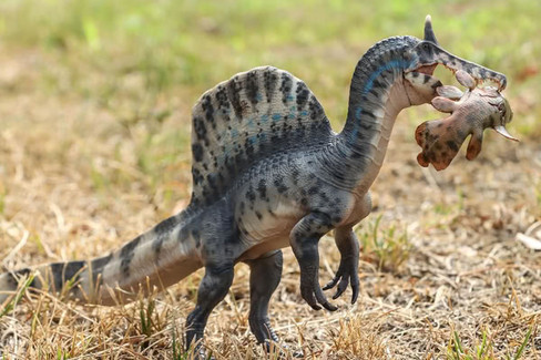 Haolonggood Spinosaurus mirabilis - Zhang Hen #190-B - In Nature witht Fish