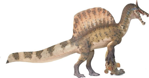 Haolonggood Spinosaurus mirabilis - Heterochromatic Version #190-C - Rear View