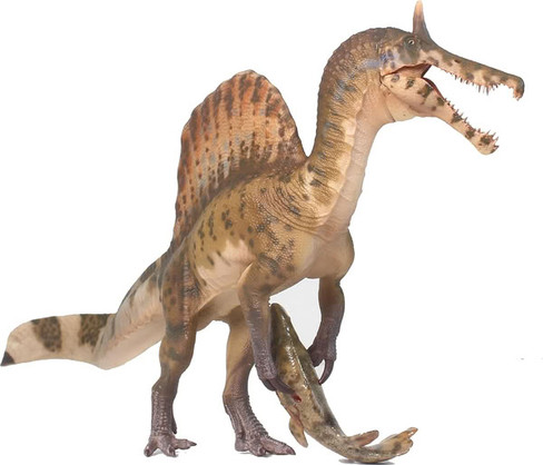 Haolonggood Spinosaurus mirabilis - Heterochromatic Version #190-C - Right Front View