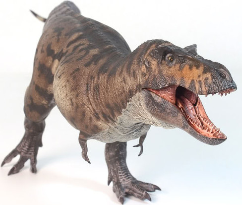 Haolonggood Tyrannosaurus Rex - Li Yuan Ba #191-A - Right Front View