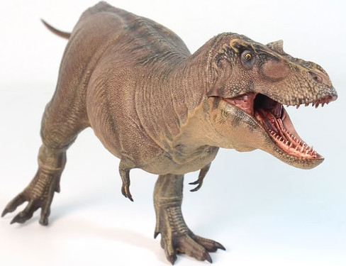 Haolonggood Tyrannosaurus Rex - Yu Wen Cheng Du #191-B - Right Front View