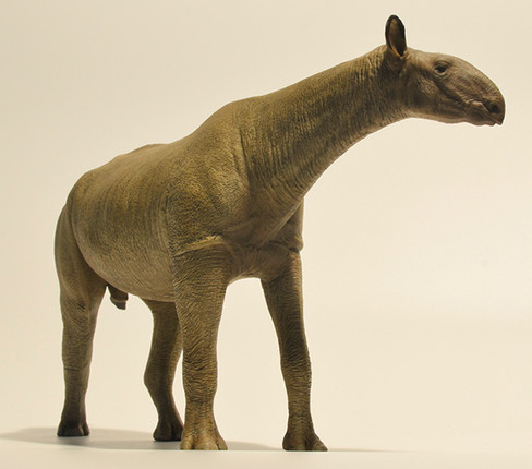 EoFauna Paraceratherium Grangeri #014 - Right Front View