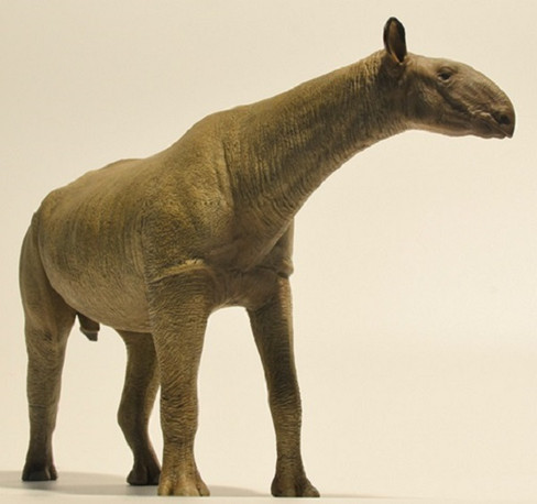 EoFauna Paraceratherium Grangeri #014 - Right Front View