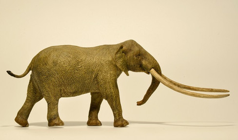 EoFauna Anancus Arvernensis #0013 - Right View