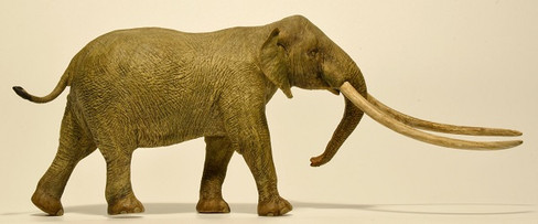 EoFauna Anancus Arvernensis #013 - Right View