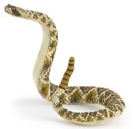 Papo Rattlesnake 50237 - Front View