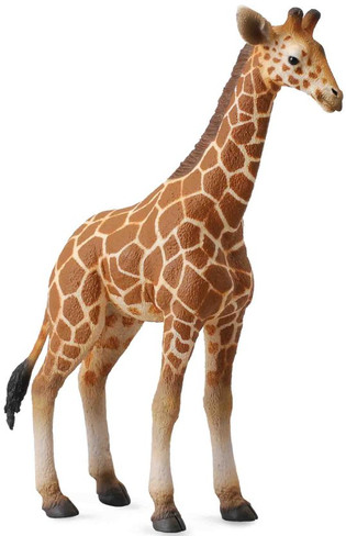 Giraffe Calf - Reticulated (CollectA)