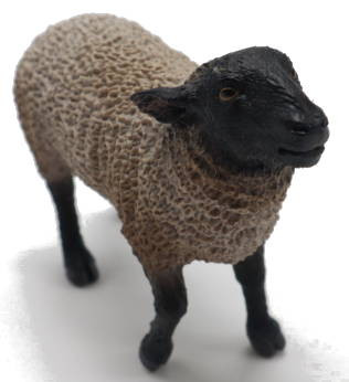 CollectA Farm Animals - Sheep #88008 - Cute Pinkish Nose