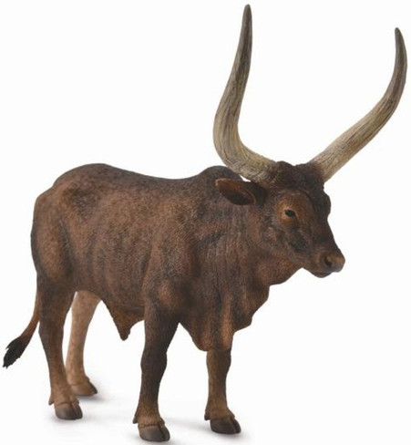 Ankole-Watusi Bull (CollectA)