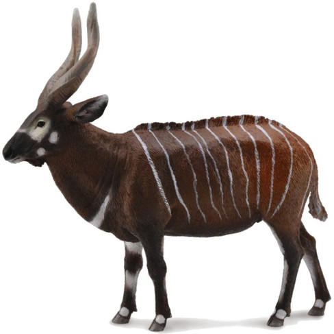 CollectA Wildlife - Springbok #88684 - Sleek Antelope Model