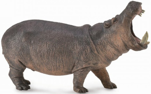 Hippopotamus (CollectA)