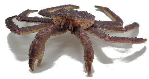 Crab - King (CollectA)