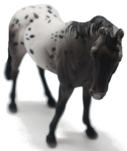 Appaloosa - Blue Roan (CollectA)