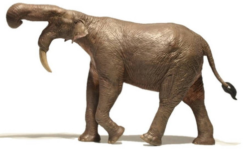 Deinotherium (EoFauna)