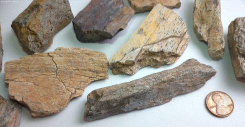 Fossilized Allosaurus Bone Fragment - Large