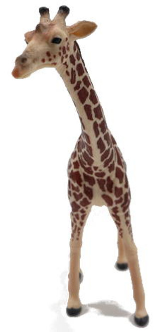 Giraffe Male (Mojo)