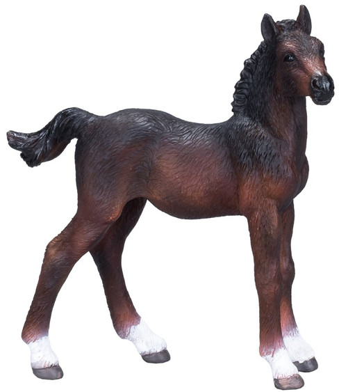 Mojo Hanoverian Foal - Bay Coat Pattern