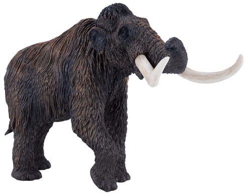 ベース Woolly Mammoth WM_2022.jpg?format=1000w
